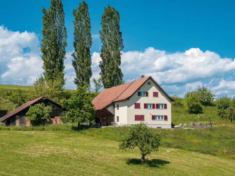 Bauernhof mit Scheune und Wiese an einem Sommertag